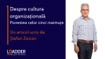 Ștefan Zoican