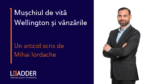 Mihai Iordache vanzari Leadder
