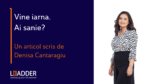 Vine iarna. Ai sanie? Denisa Cantaragiu